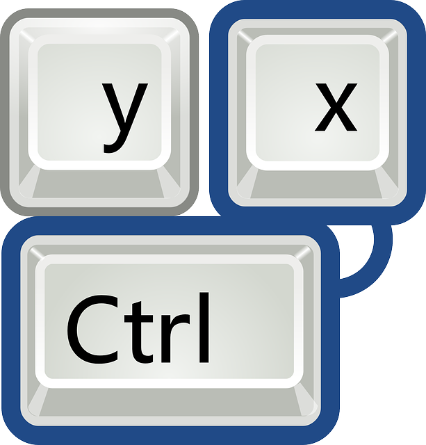 keyboard keys with ctrl + x emphasized